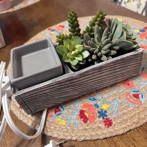 Scentsy Suc-cute-lent Warmer